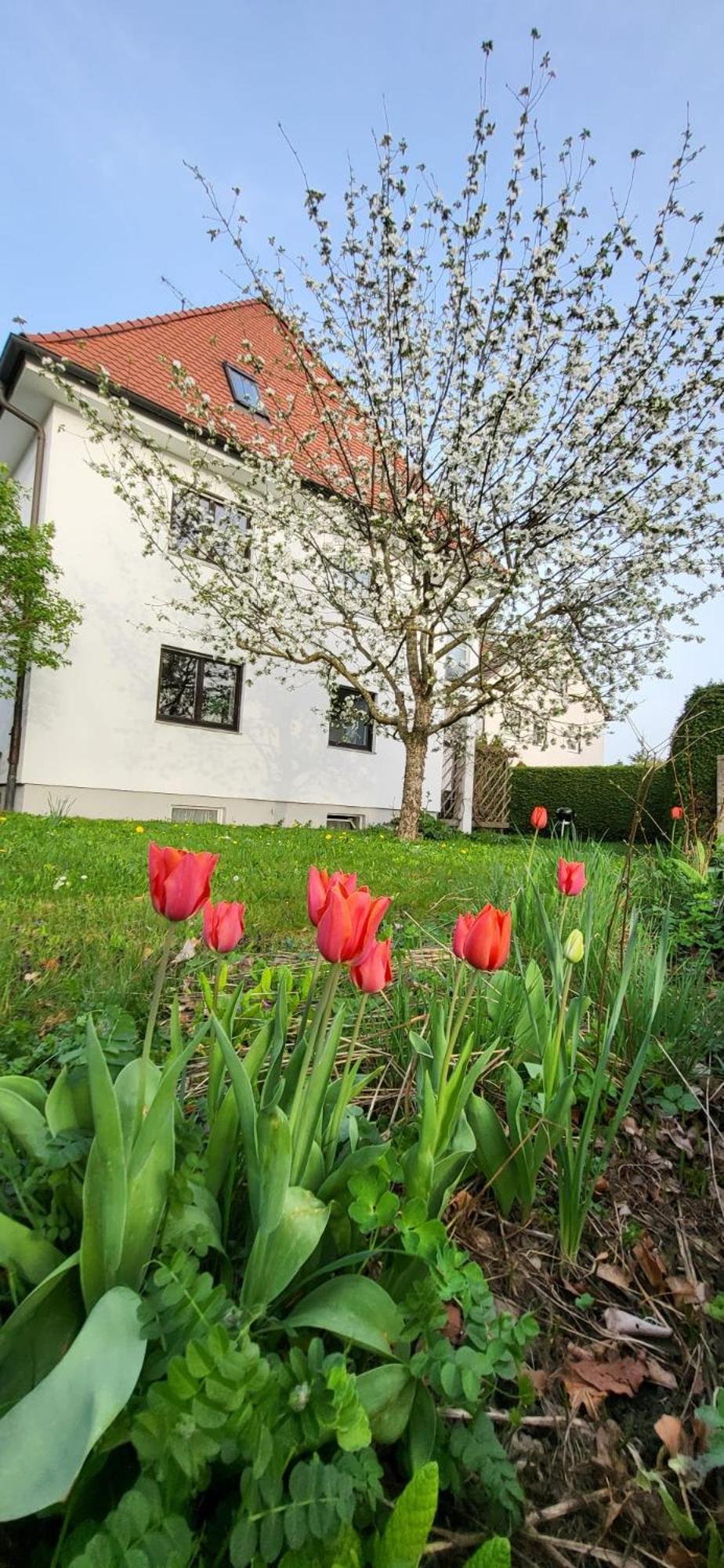 Allgaeu Retreat Bad Wörishofen Zewnętrze zdjęcie